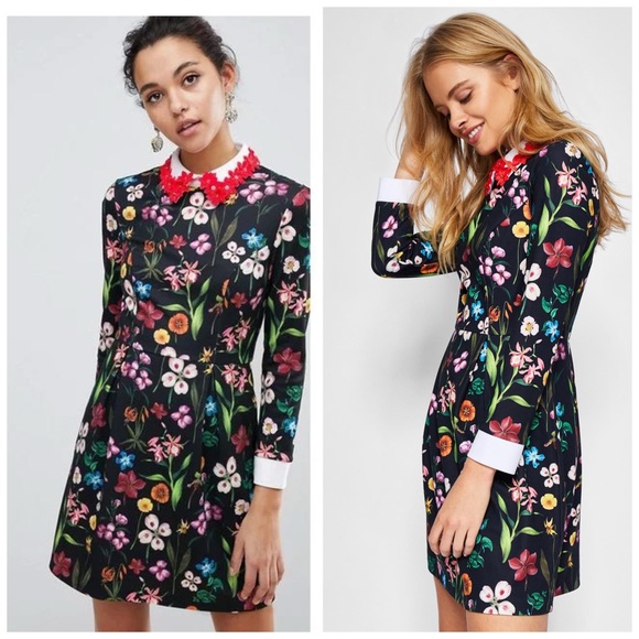 Ted Baker Tillena Hampton Court Applique Collar Floral Sheath Size 2 - Picture 1 of 10